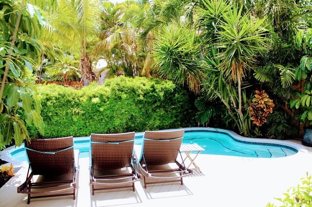 Benefits of Having a Tropical Pool